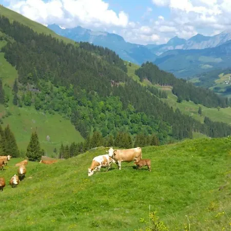 Biobauernhof Jagglhof 살펠덴암스타이너르넨미어