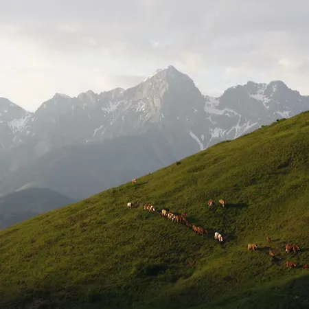 Biobauernhof Jagglhof * 살펠덴암스타이너르넨미어